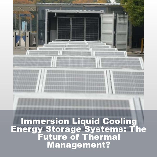 Immersion Liquid Cooling Energy Storage Systems: The Future of Thermal Management?